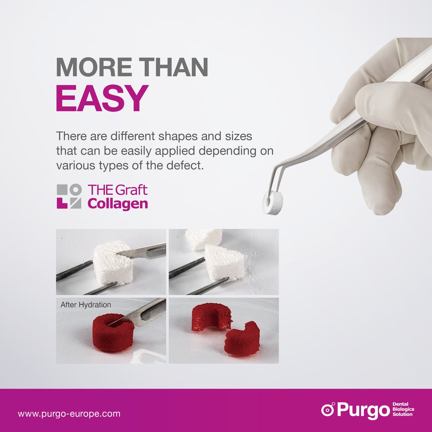 THE Graft™ Collagen (REF: TCB-01)